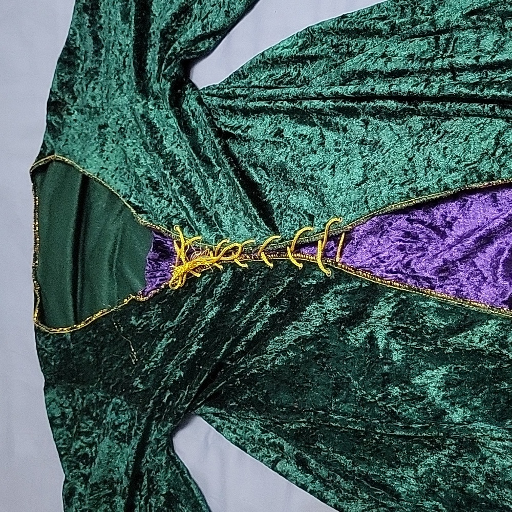 FunWorld Renaissance Princess costume